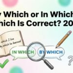 By Which or In Which – Which Is Correct? 2026