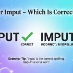 Input or Imput – Which Is Correct? 2026