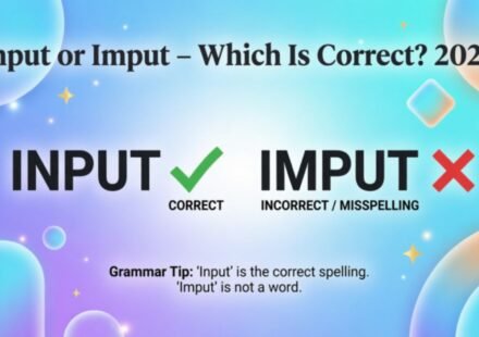 Input or Imput – Which Is Correct? 2026