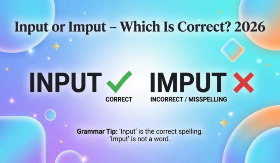 Input or Imput – Which Is Correct? 2026