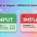 Input or Imput – Which Is Correct? (2026 Guide)