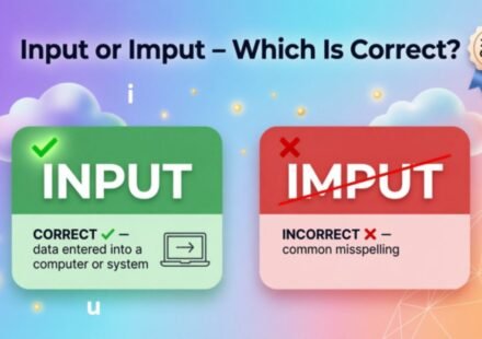 Input or Imput – Which Is Correct? (2026 Guide)