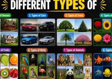 different type of