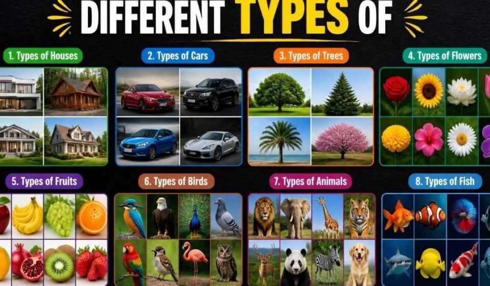 different type of